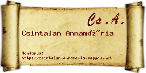 Csintalan Annamária névjegykártya